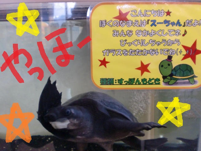 すーちゃん★.jpg