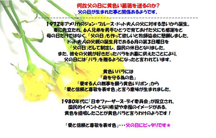 http://www.flapauto-justice.jp/topics/titinohi.JPG
